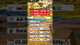 🇷🇺 СОЧИ ➡️ БУХАРА 🇺🇿 4,500 ₽ #xariduz #авиабилет #biletnarxlari #авиакасса #харидуз @Xariduz