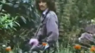 George Harrison - Todos esos años 