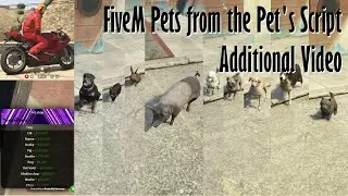 Gta V Fivem all Pets form the Pet's Script