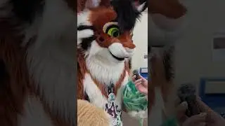 Bao Meets a Furry