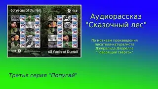 Сказочный лес и говорящий сверток - ремейк. Третья серия.
