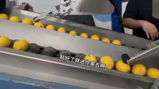 Lemon labeling machine