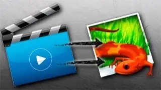 Extraer imágenes de un vídeo [Fácil y Rápido]