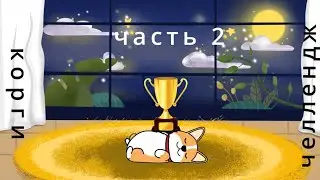 Корги челлендж часть 2 !!