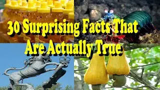 30 Surprising Facts That Are Actually True