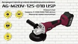 Угловая шлифовальная машина аккумуляторная (УШМ) Pioneer AG-M20V-125-01B USP