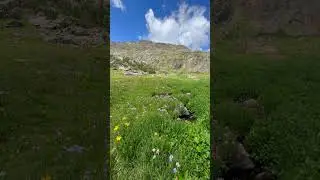 Small Mountain Stream in Colorado