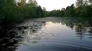 #ЛОВУШКА