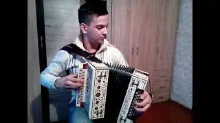 Матаня на гармони