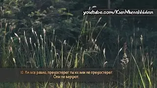 Мухаммад Амин. Сура 36 «Ясин»  (1-19)