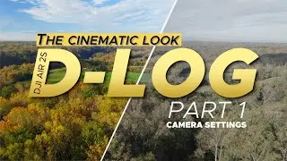Camera Settings for Beginners - Air 2S D-log Color Grading (Part 1)