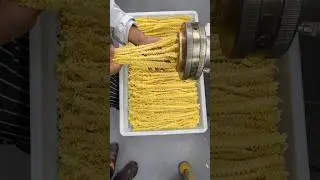 Welcome to PASTATUBE! Making Fresh Mafaldine 
