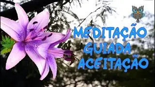 Meditação Guiada para Aceitação dos Caminhos da Vida: Encontre a Paz Interior e a Harmonia Divina