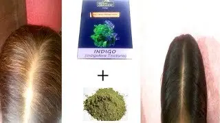 #Mehndi#+#Indigo#=#Black#Hair#