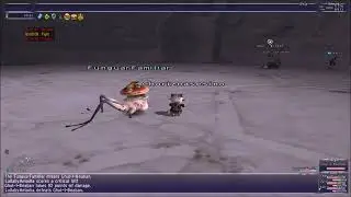 FFXI Undying Promise Enlight