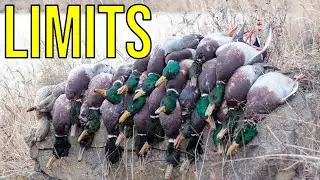 EPIC In Your Face 5 Man Limit of Mallards