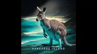 Kangaroo Island  An Aussie Adventure Awa 2024 03 16