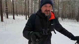 Cross-country skiing 2021