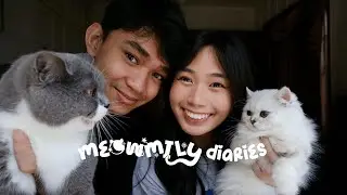 Meowmily Diaries | Q&A