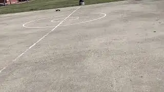 Traxxas RC Car around basketball court
