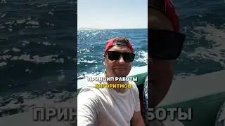 Работа алгоритмов в видео. Смотри бесплатный урок, как эксперту выстроить системные продажи👆👆👆