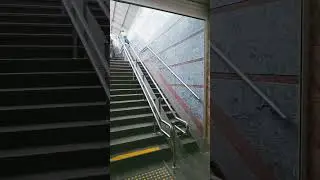 6 июля 2023 г.