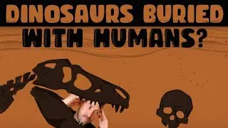 Discovery Suggests that Humans Lived with Dinosaurs