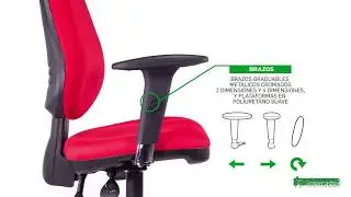 MANUALES ANIMADOS - EXPLICAMOS™