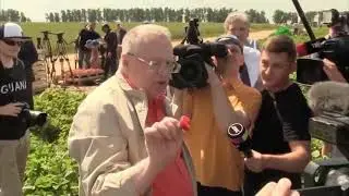 шлепа большой руский кот#Shorts