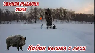 ЗИМНЯЯ РЫБАЛКА 2024 ГОДА! Разведка по щучьим местам. Подводная съёмка. Кабан вышел с Леса.