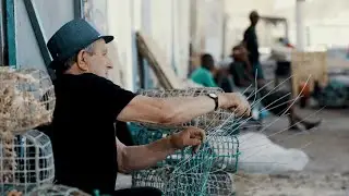 Handmade Traditional Fish Trap | Olhão, Portugal | Murejona