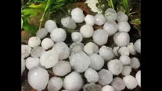 Mưa đá ngày mùng 1 Tết Canh Tý tại Thanh Hóa