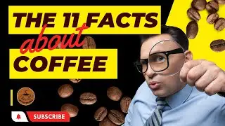 Uncover the Mysteries of Coffee: All You Need to Know