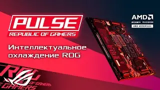 ROG PULSE [18.06.21] - ноутбуки Advantage Edition, S.T.A.L.K.E.R. 2, Forza Horizon 5