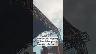 Panggung rigging penuh Dengan Sayuran #shorts #vidioshort #rigging #weddinggarut