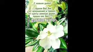 Доброго утра! Хорошего дня!