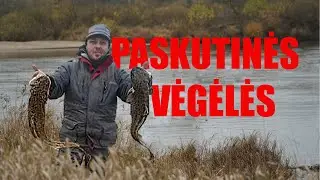 Apie žūklę prie kavos # 13: paskutinės sezono vėgėlės