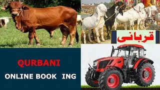 How To Book Qurbani Online | Livestock Farming Websites