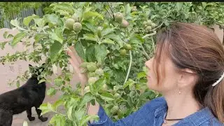 НОВОСТИ ЛУЧШЕ НЕ ЧИТАТЬ! МИЛЛИОНЫ НА ЭТО. КАЖДЫЙ ПЕРЕЖИВАЕТ ПО-СВОЕМУ...
