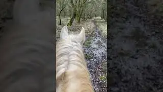 Riding through the woods 1 ASMR 