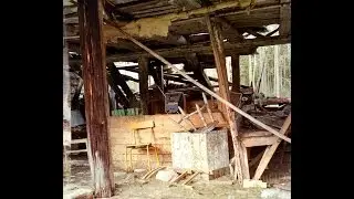 A disused shed in County Wexford by Derek Mahon
