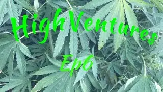 Disruption HighVentures Ep 6 #NewCamera