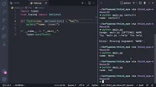 Python Typer for scripting - Optional Argument (தமிழ்)