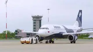 Путешествие медведя «Авророй» во Владивосток