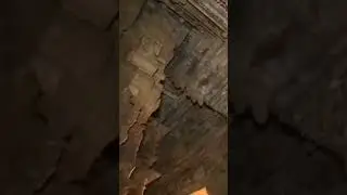 вот откуда этот мем