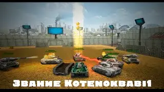 Звание Kotenokbabi1