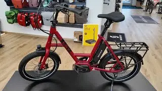 Wohnmobil Mini E-Bikes 2024 i:SY N3.8 ZR CX Comfort berry rot Test und Kaufberatung