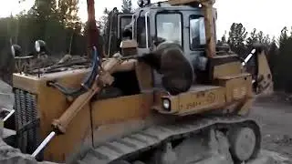 Дикая природа России МЕДВЕДЬ НА ТРАКТОРЕ Медведи