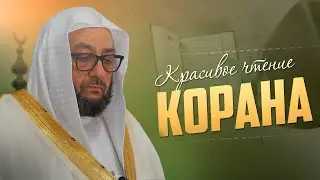 КРАСИВОЕ ЧТЕНИЕ КОРАНА / Шейх Маъмун ар-Рави