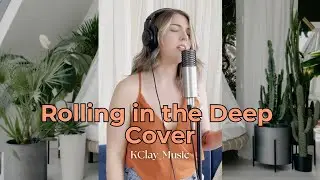 Rolling in the Deep Cover - Karen Claypool